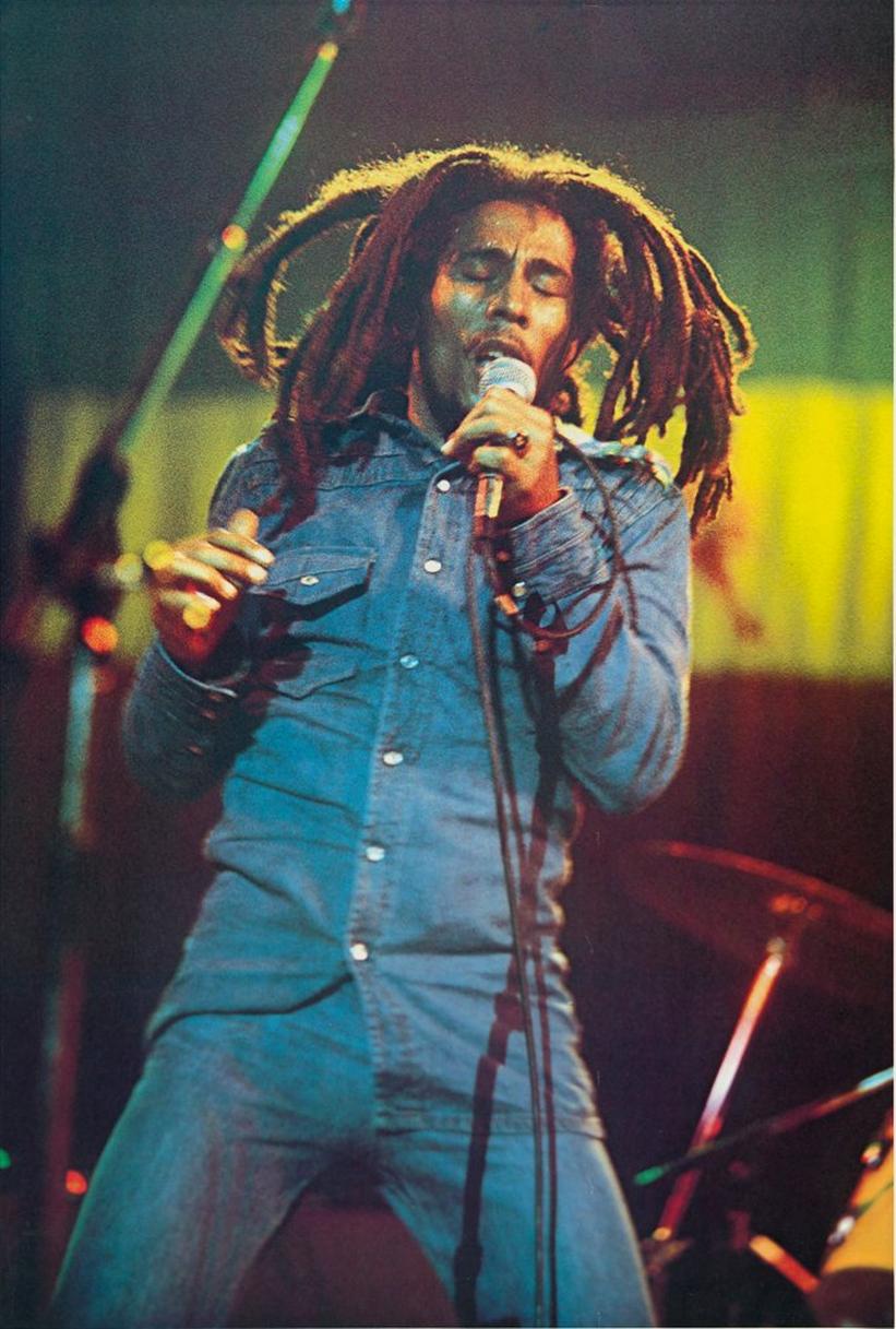 Rebel Music: Bob Marley & Roots Reggae bob marley denim